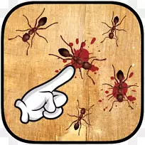 昆虫图形插图传粉昆虫-空若网 昆虫图形插图传粉昆虫-空若网