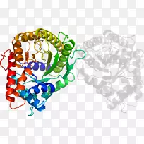 剪贴画有机体线身首饰-空若网 剪贴画有机体线身首饰-空若网