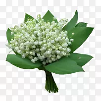 山谷意象中的百合花-花-空若网 山谷意象中的百合花-花-空若网