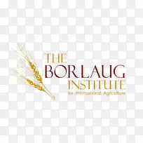 徽标谷物胚芽字体草-空若网 徽标谷物胚芽字体草-空若网