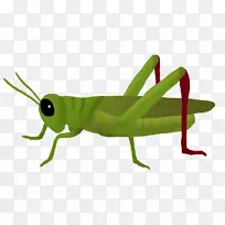 ¼ôÌù»òÆòìpngͼƬͼÏñ²åͼ.òÆòì-¿ÕÈôÍø ¼ôÌù»òÆòìpngͼƬͼÏñ²åͼ.òÆòì-¿ÕÈôÍø