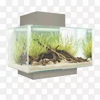 河畔水族馆澳大利亚养鱼纳米水族馆-空若网 河畔水族馆澳大利亚养鱼纳米水族馆-空若网