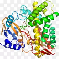 剪贴画有机体线动物-空若网 剪贴画有机体线动物-空若网