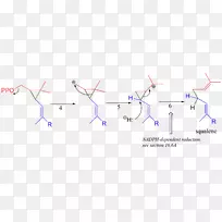 ��Ʒ��Ƶ��߽�-������