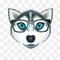 眼镜鼻子狗镜眼镜-空若网 眼镜鼻子狗镜眼镜-空若网