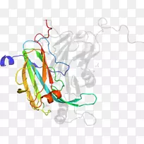剪贴画线产品点有机体线-空若网 剪贴画线产品点有机体线-空若网