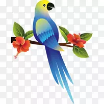 小米红米注4png图片设计Adobe Photoshop-空若网 小米红米注4png图片设计Adobe Photoshop-空若网