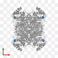 插图有机体字体身饰-空若网 插图有机体字体身饰-空若网