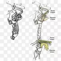 附图产品设计-空若网 附图产品设计-空若网