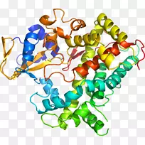 剪贴画有机体线身首饰-空若网 剪贴画有机体线身首饰-空若网
