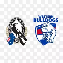 科林伍德足球俱乐部澳大利亚足球联赛吉隆足球俱乐部卡尔顿足球俱乐部西海岸老鹰-空若网 科林伍德足球俱乐部澳大利亚足球联赛吉隆足球俱乐部卡尔顿足球俱乐部西海岸老鹰-空若网