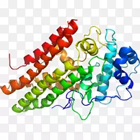 剪贴画有机体系列产品身饰-空若网 剪贴画有机体系列产品身饰-空若网