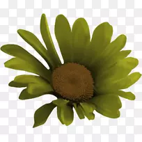 ͼƬ²åͼpngͼƬ²©¿Íͼ-¿ÕÈôÍø ͼƬ²åͼpngͼƬ²©¿Íͼ-¿ÕÈôÍø