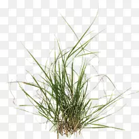 ��ݲ���ģ���ͼ��vtiver��ǰ.obj�ļ�-�����деĲ���-������