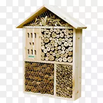 昆虫旅馆西部蜜蜂花园-昆虫-空若网 昆虫旅馆西部蜜蜂花园-昆虫-空若网