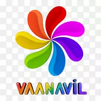 电视频道-空若网 电视频道-空若网