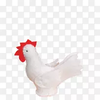 公鸡做食物,喙羽毛-空若网 公鸡做食物,喙羽毛-空若网