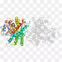 插画艺术有机体系列产品-空若网 插画艺术有机体系列产品-空若网