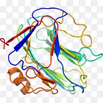剪贴画线产品点有机体线-空若网 剪贴画线产品点有机体线-空若网