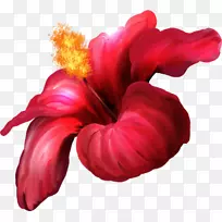 花卉图片博客png图片点击花-空若网 花卉图片博客png图片点击花-空若网
