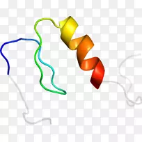 人体珠宝剪贴画线-呼吸-空若网 人体珠宝剪贴画线-呼吸-空若网