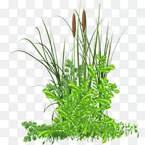 pngͼƬ¼ô¼ÒÕÊõͼÏñÉè¼Æ²åͼ.ÏãÆÑ-¿ÕÈôÍø pngͼƬ¼ô¼ÒÕÊõͼÏñÉè¼Æ²åͼ.ÏãÆÑ-¿ÕÈôÍø