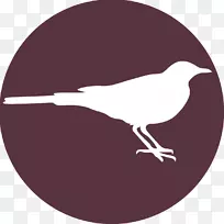 �������-������