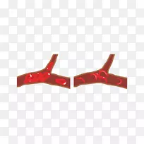 文本表型自然环境翻译基因型-空若网 文本表型自然环境翻译基因型-空若网