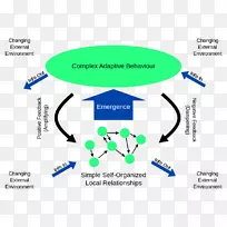 ��������Ӧϵͳ�����Կ�ѧ-������