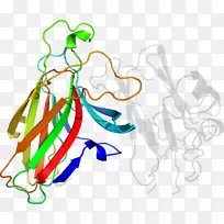 ��������ƽ����Ƶ��Ʒ-������