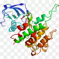 剪贴画植物有机体系列动物-空若网 剪贴画植物有机体系列动物-空若网