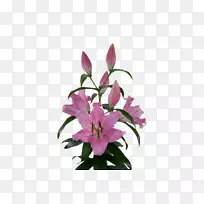 �ٺ��۾��л�ֲ��ۺ�ɫ�ٺ�-������