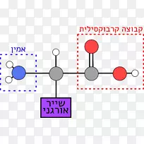 味精氨基酸味精-空若网 味精氨基酸味精-空若网