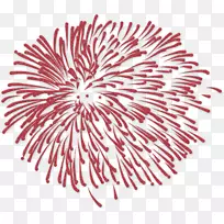 Adobe烟花-烟花-空若网 Adobe烟花-烟花-空若网