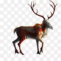 驯鹿麋鹿陆生动物野生动物森林乌鸦-空若网 驯鹿麋鹿陆生动物野生动物森林乌鸦-空若网