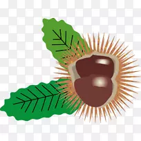 加拿大板栗博客秋季达摩-永恒-空若网 加拿大板栗博客秋季达摩-永恒-空若网