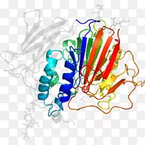 ��������ͼƽ������ߵ�-iopomoea-������