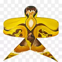 昆虫膜蝴蝶-大卫·加勒特和妈妈-空若网 昆虫膜蝴蝶-大卫·加勒特和妈妈-空若网