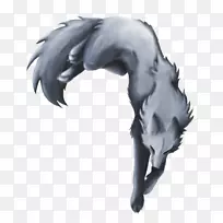 马羽毛马-空若网 马羽毛马-空若网