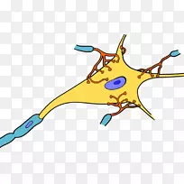 ��Ԫ��ϵͳ��ͻ����-������