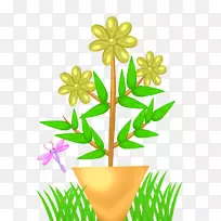 花卉设计切花植物茎叶-空若网 花卉设计切花植物茎叶-空若网