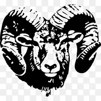 拉姆卡车撞上皮卡标记道奇贴纸-道奇-空若网 拉姆卡车撞上皮卡标记道奇贴纸-道奇-空若网