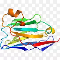 产品剪贴画线点有机体-骆驼类抗体-空若网 产品剪贴画线点有机体-骆驼类抗体-空若网
