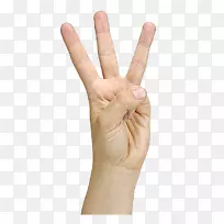 拇指手模型指甲周边视力测试手指-空若网 拇指手模型指甲周边视力测试手指-空若网