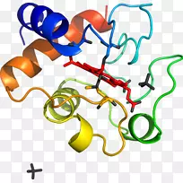 剪贴画线点产品有机体-睾丸-空若网 剪贴画线点产品有机体-睾丸-空若网