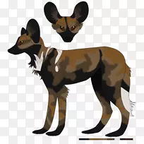 犬科毛皮动物-狗-空若网 犬科毛皮动物-狗-空若网