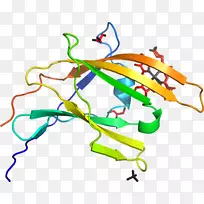 �������߲�Ʒ��Ҷԭ߲��-������