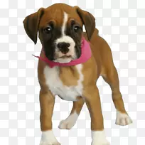 ��-��PNGͼƬ���ع�-������