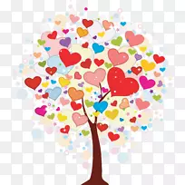 ���պؿ���˵��-����-������