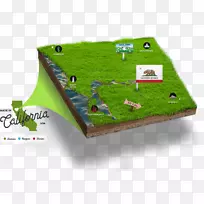 Ʒ�Ʋ�Ʒ���-������